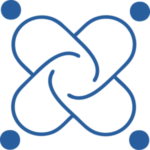 Favicon Solutions CEO - Bleu